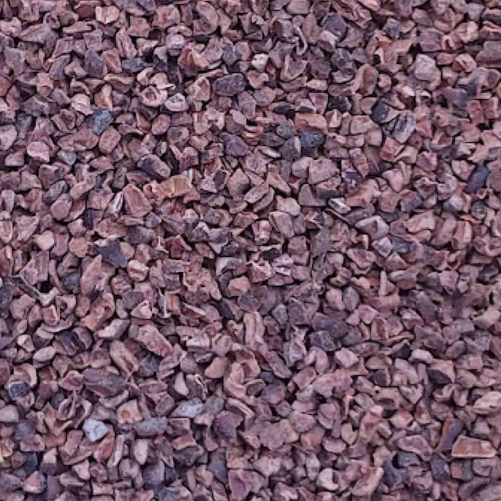 Cacao nibs
