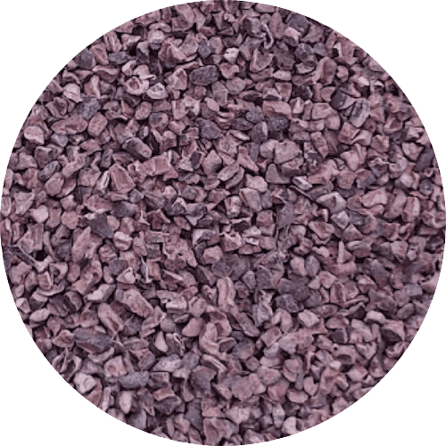 Cacao nibs