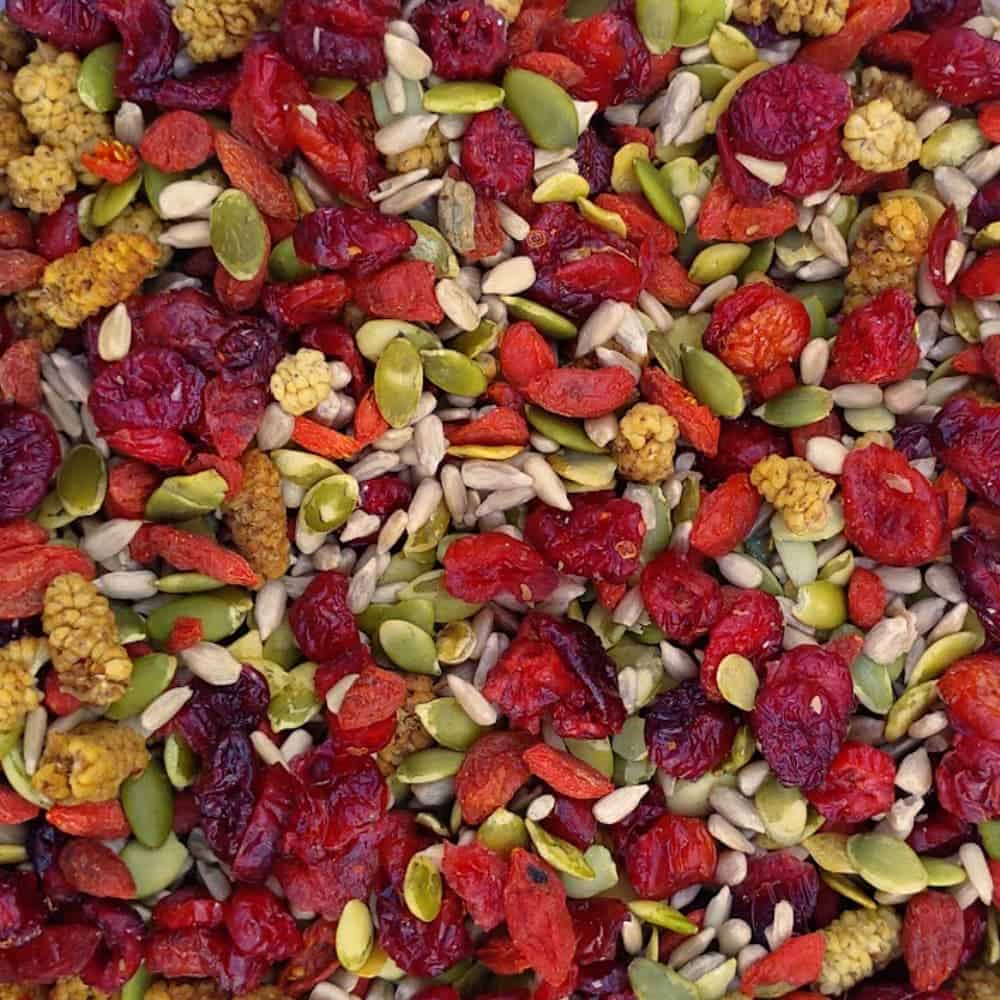 Fruit- en pittenmix
