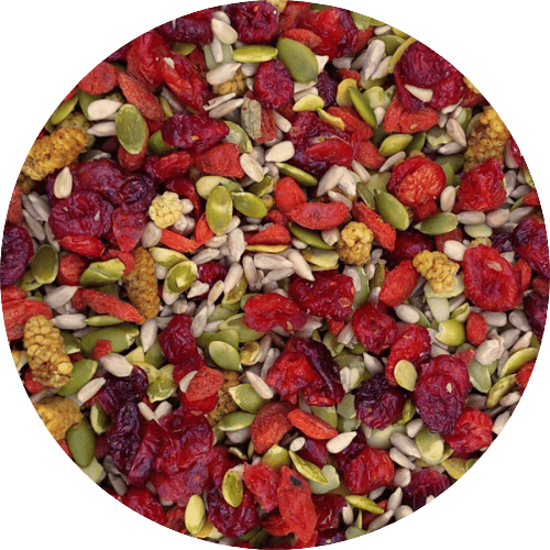 Fruit- en pittenmix