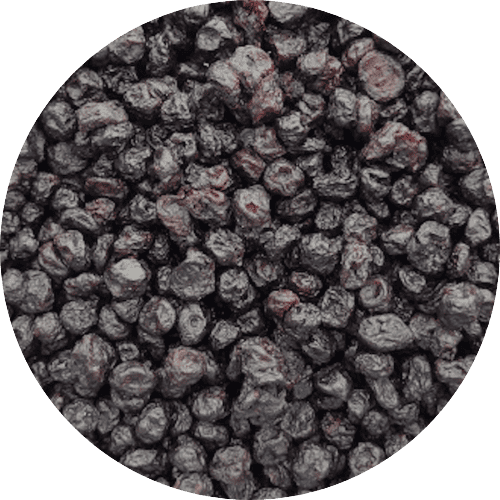 Gedroogde blauwebessen