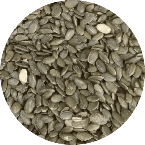 Geroosterde pompoenpitten zonder zout