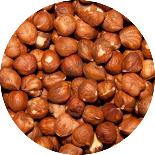 Hazelnoten bruin rauw